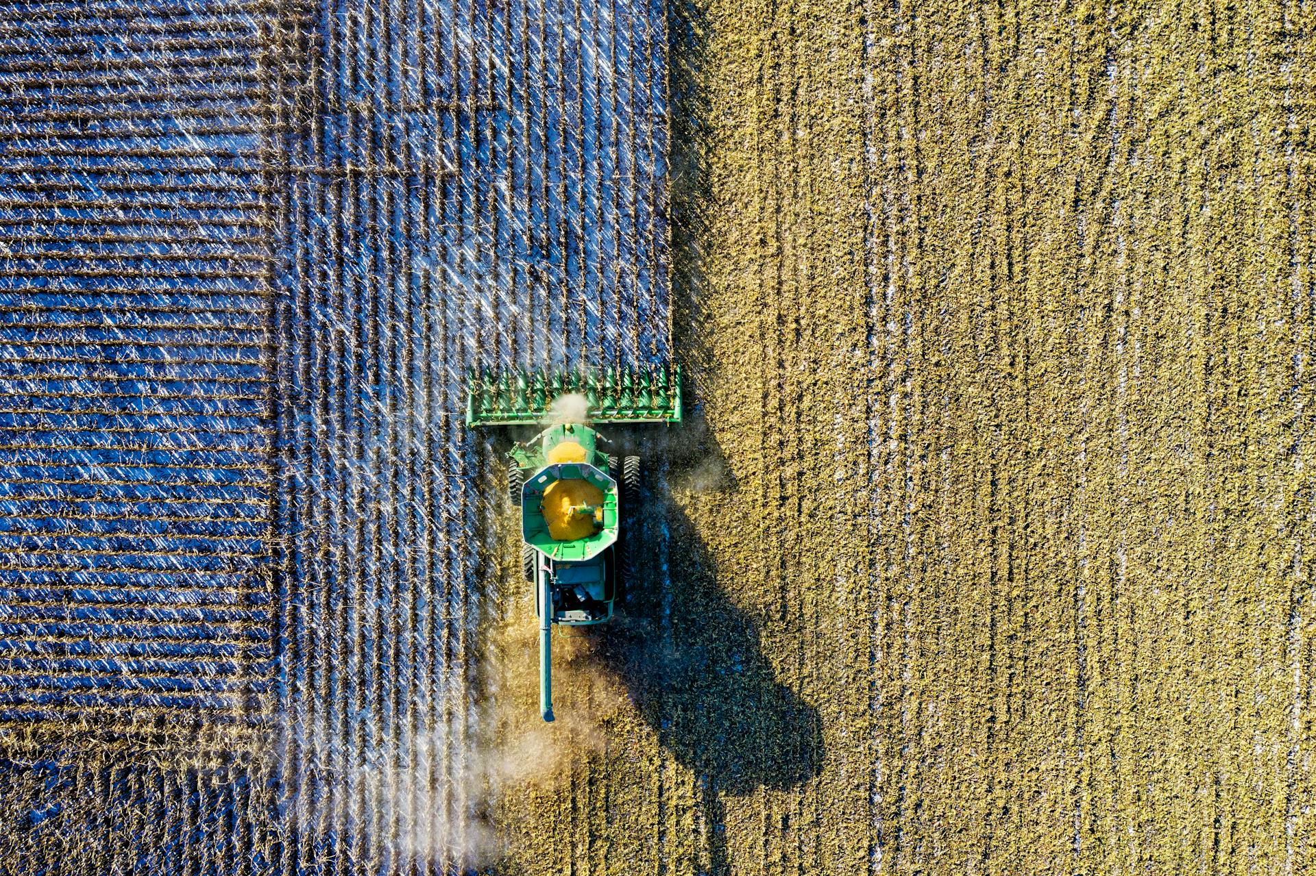 Packhouse and post-harvest support